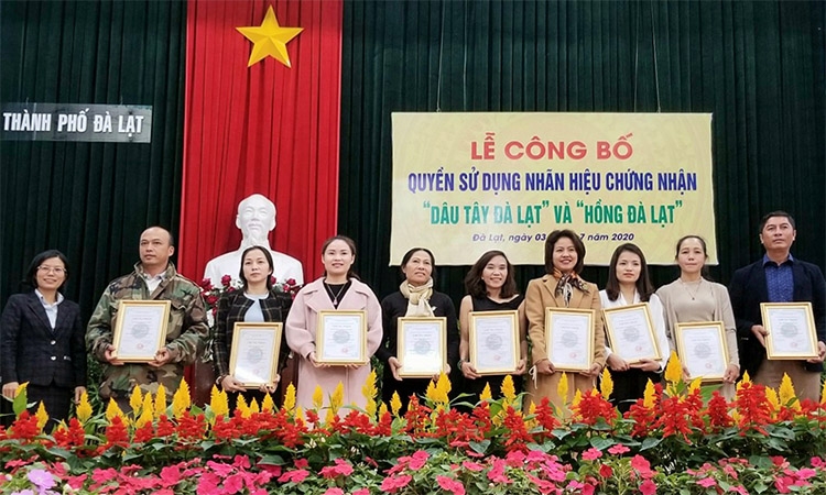 Đại diện các tổ chức, đơn vị, doanh nghiệp, cá nhân sản xuất và kinh doanh sản phẩm “Dâu tây Đà Lạt”, “Hồng Đà Lạt” được cấp thí điểm quyền sử dụng nhãn hiệu “Dâu tây Đà Lạt” và “Hồng Đà Lạt”