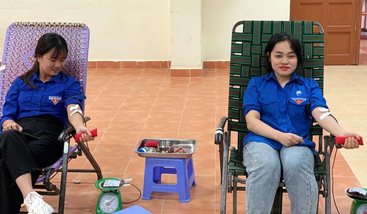 300 sinh viên Trường Đại học Yersin Đà Lạt tham gia Ngày hội hiến máu tình nguyện