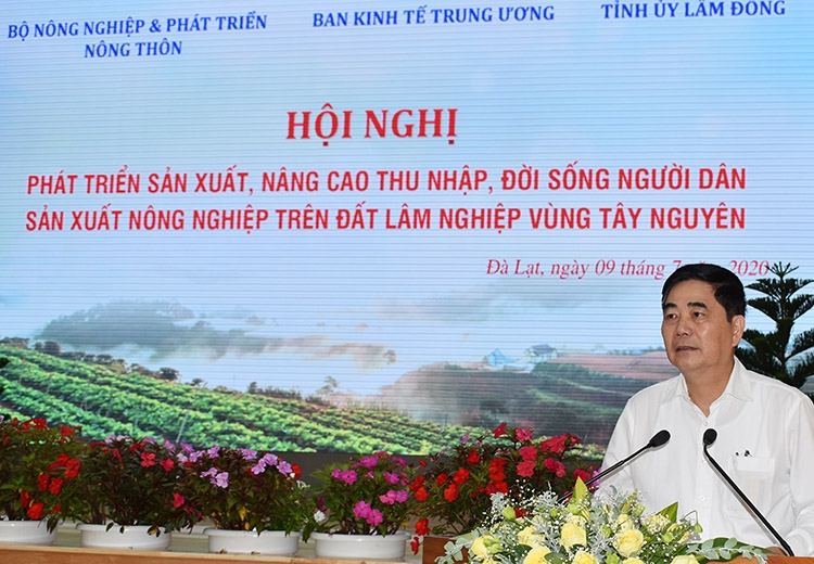 Phó Ban Thường trực Ban Kinh tế Trung ương Cao Đức Phát: “Những diện tích đất lâm nghiệp lấn chiếm phát sinh phải cương quyết xử lý, thu hồi”