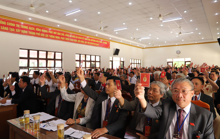 Các đại biểu biểu quyết thông qua tiêu chuẩn, cơ cấu cấp ủy khóa mới