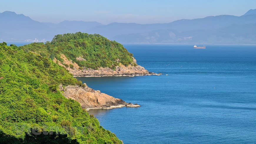 Bán đảo Sơn Trà là vương quốc của Nữ hoàng linh trưởng Voọc chà vá chân nâu 
