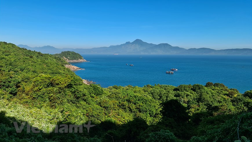 Dưới những tán cây là nơi sinh sống của bầy Voọc