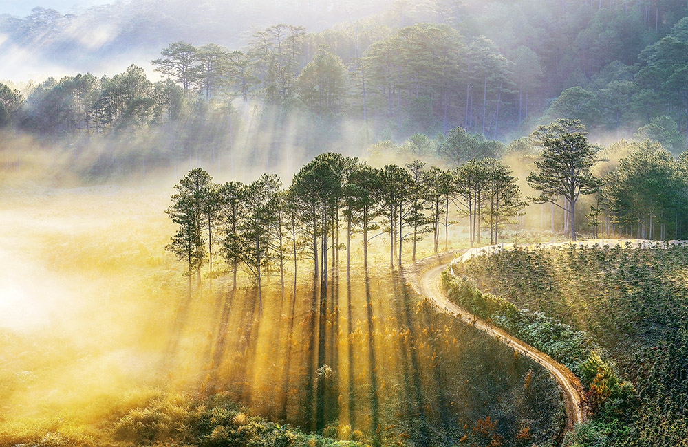 Nắng xiên. Ảnh: Thụy Trang