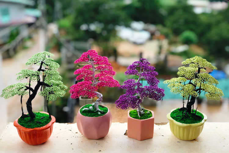 Mỗi chậu bonsai handmade có giá từ vài trăm đến vài triệu đồng, tùy theo hình dáng, nguyên liệu