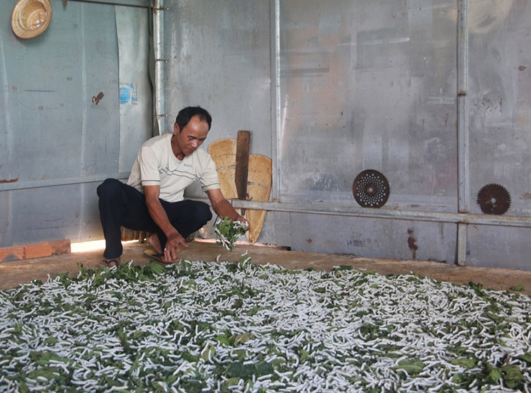 Nỗ lực vươn lên làm kinh tế giỏi