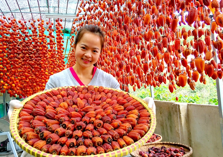 Khởi nghiệp - &quot;Điểm nhấn&quot; của tuổi trẻ Đà Lạt