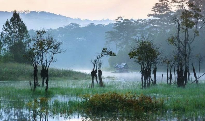 Khung cảnh thơ mộng, lãng mạn khi sáng sớm