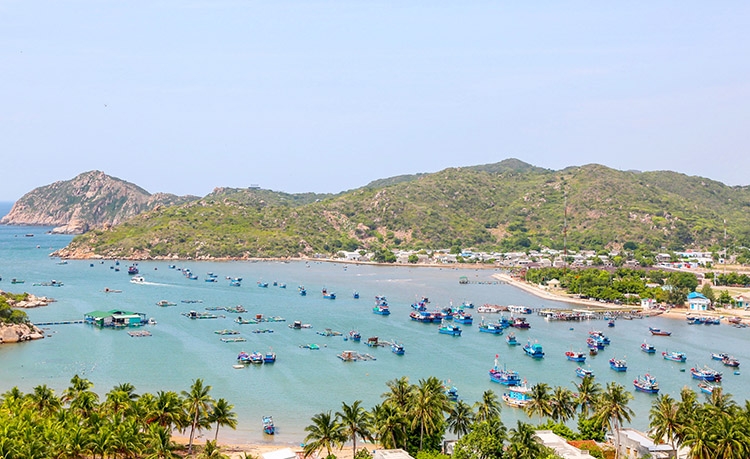 Ninh Thuận đang được xem là nơi có những cung đường ven biển đẹp nhất Việt Nam kết nối với hai tỉnh Bình Thuận và Khánh Hòa. Trên những cung đường ấy, có nhiều bãi biển nhỏ và hoang sơ đang còn xa lạ, nhưng Ninh Chữ và Vĩnh Hy là hai vùng biển dường như du khách nào cũng biết. Đặc biệt là Vĩnh Hy có các dịch vụ du lịch biển phong phú nên luôn tấp nập du khách. Vịnh Vĩnh Hy nằm trong top những vịnh đẹp nhất Việt Nam, với tàu thuyền, núi non, cây xanh, nước biếc... (Ảnh 2)