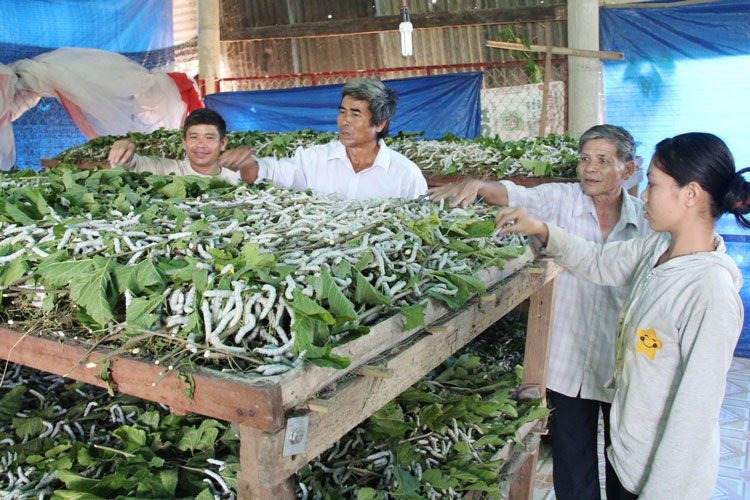 Yếu tố đầu tiên để thành công là gần dân