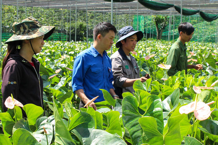 Quyết tâm xây dựng Hòa Ninh trở thành đô thị loại V