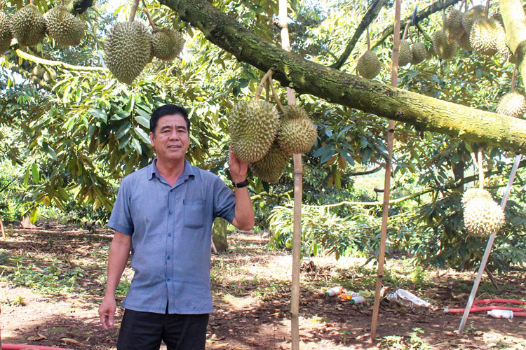Đảng viên làm kinh tế giỏi