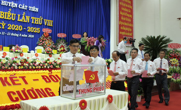 Các đại biểu bỏ phiếu 