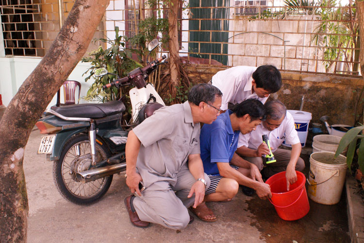 Cảnh báo nguy cơ bùng phát dịch do nhiễm vi rút Chikungunya
