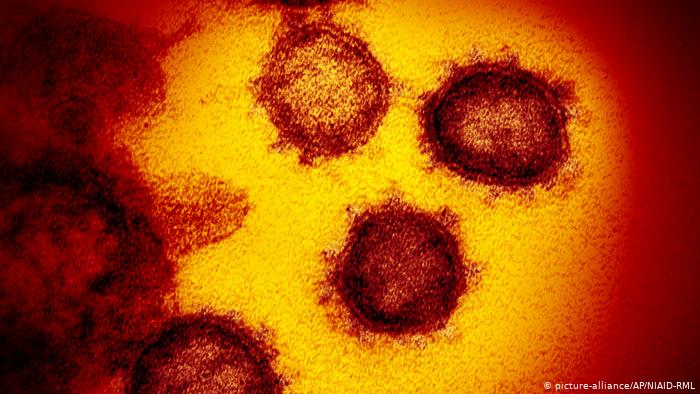 Các công ty dược phẩm đang chạy đua thử nghiệm vaccine ngăn ngừa virus SARS-CoV-2.