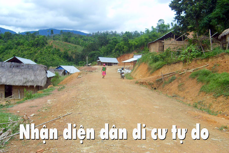 Khôi phục rừng Tây Nguyên - vừa cấp bách, vừa lâu dài (Bài 2)