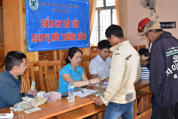 Khôi phục rừng Tây Nguyên - vừa cấp bách, vừa lâu dài (Bài 3)