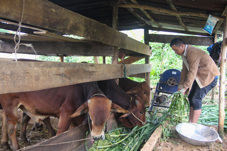 Đảm bảo tính bền vững trong công tác giảm nghèo
