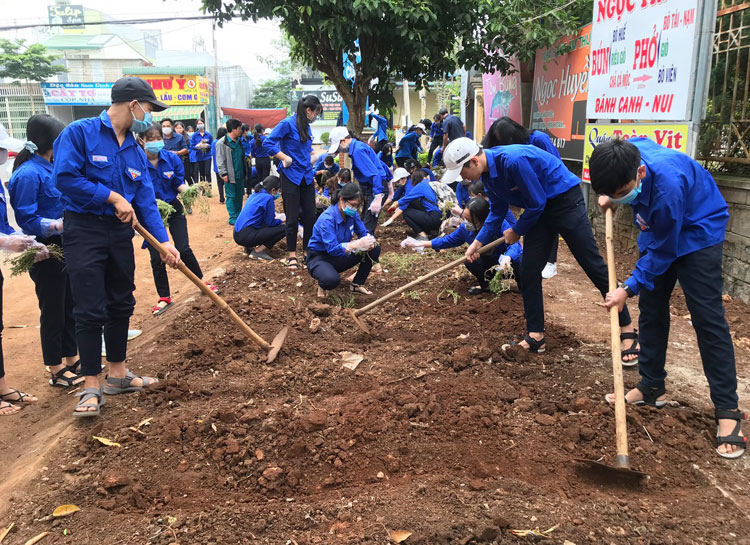 Ra quân thực hiện công trình đường hoa