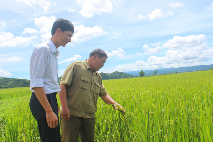 Người Tày, Nùng ơn Đảng