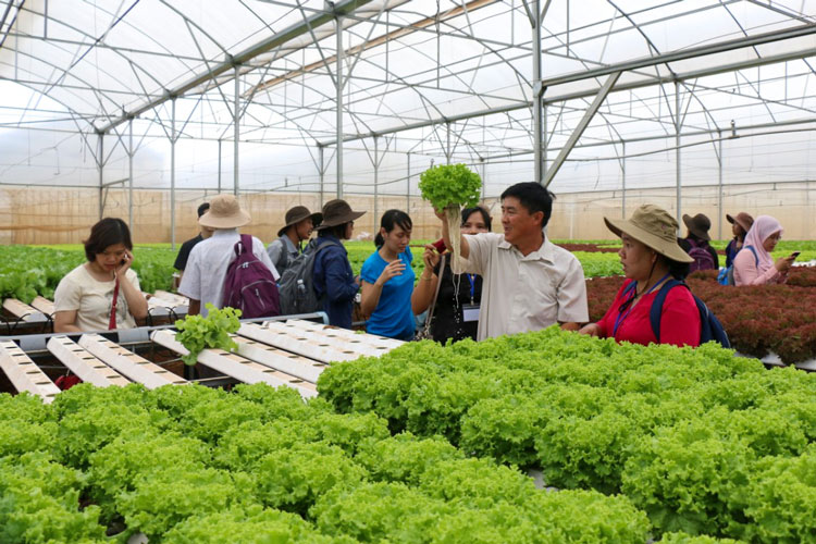 Tạo sản phẩm du lịch mới trên nền nông nghiệp sẵn có