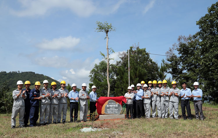 Lãnh đạo và cán bộ, công nhân viên Công ty Thủy điện Đồng Nai trồng cây xanh tại khu vực hồ Thủy điện Đồng Nai