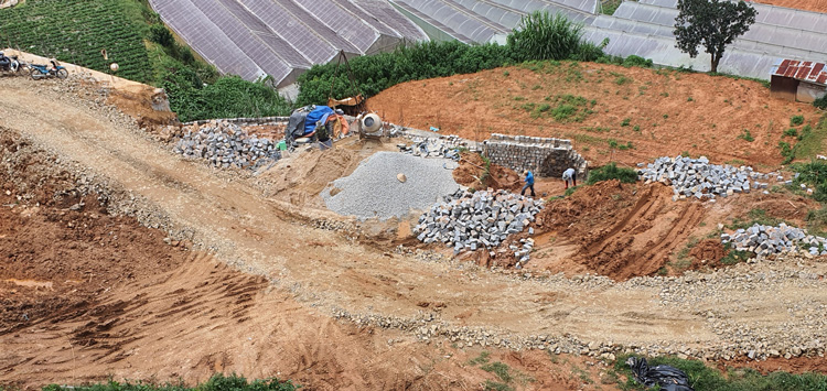 Đà Lạt: ''Vô tư'' phân lô nền đất nông nghiệp
