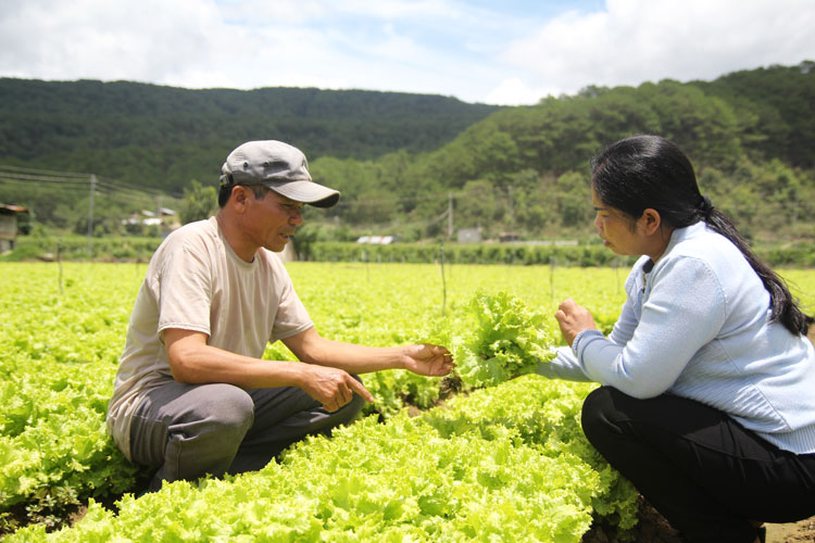 Đơn Dương: &quot;3 tại chỗ&quot;, &quot;4 sẵn sàng&quot; ứng phó mùa mưa bão