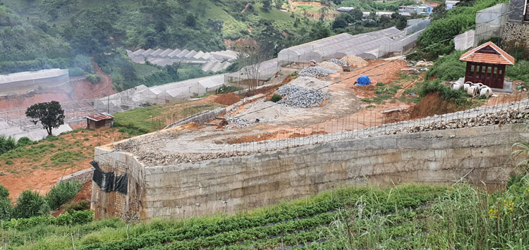 Khẩn trương kiểm tra, xử lý việc phân lô bán nền đất nông nghiệp