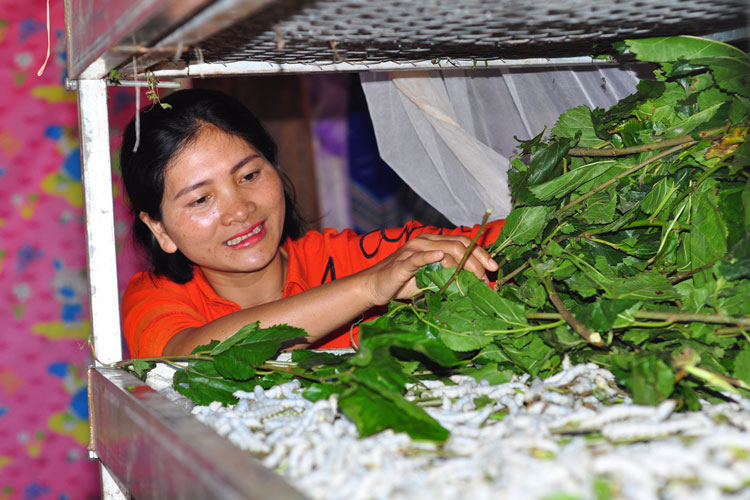 Đúng nhu cầu - tăng hiệu quả
