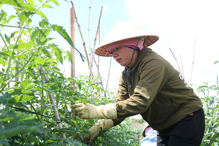 K'Niếu ở thôn Chi Rông