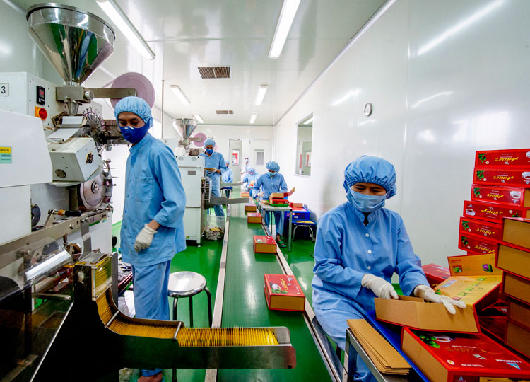 39 tác phẩm đoạt giải Cuộc thi &quot;Lâm Đồng trên đường đổi mới, phát triển bền vững&quot;