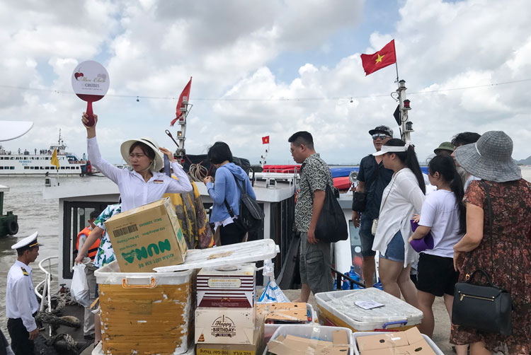 Nghỉ đêm trên du thuyền vốn được khách du lịch quốc tế rất yêu thích khi đến Hạ Long. Nhưng, đại dịch COVID-19 xuất hiện, nguồn khách này không còn, buộc các công ty du thuyền phải chuyển hướng, giảm giá để thu hút khách nội địa. Với tour du lịch trọn gói phổ biến 2 ngày 1 đêm và mức giá từ trên 2 triệu đồng mỗi khách, nhiều du thuyền thường kín phòng vào cuối tuần. Hè năm 2020 có lẽ là thời điểm các bến thuyền đón tiếp du khách Việt rộn ràng nhất cho đến khi dịch bùng phát lần thứ 2
