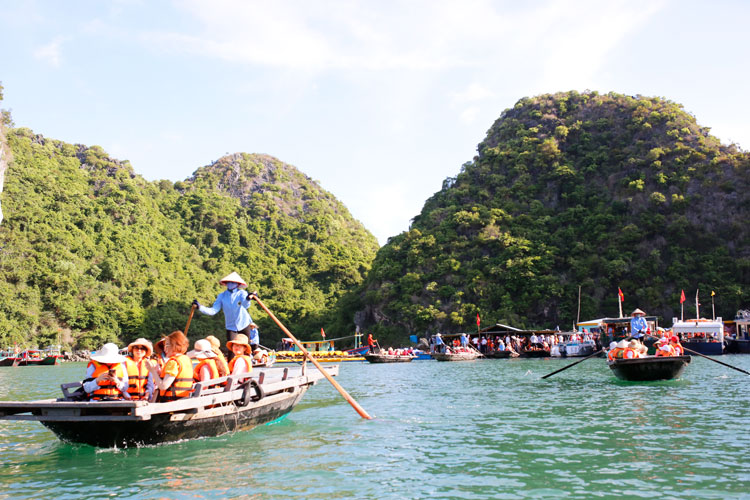 Ngoài thời gian đi các đảo đá, hang động, thăm làng chài; du khách được tham gia các hoạt động trải nghiệm khác, như: bơi lội, chèo thuyền kayak, câu mực, tập dưỡng sinh, học nấu ăn, ngắm hoàng hôn hay bình minh trên boong tàu... Nghỉ đêm trên vịnh Hạ Long là một trải nghiệm không tốn thời gian, nhưng thực sự hữu ích với tâm trạng “đưa nhau đi trốn” - là hoàn toàn nghỉ ngơi, thư giãn bên người thân, bạn bè