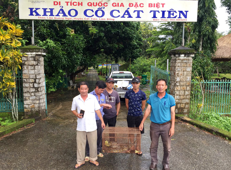 Thả cá thể trăn Gấm nặng gần 10 kg về tự nhiên