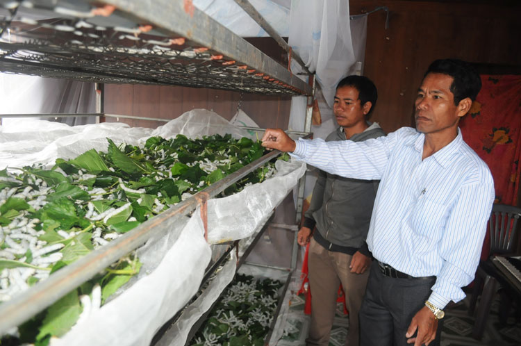 Vận động chuyển đổi cơ cấu cây trồng trong vùng đồng bào dân tộc thiểu số