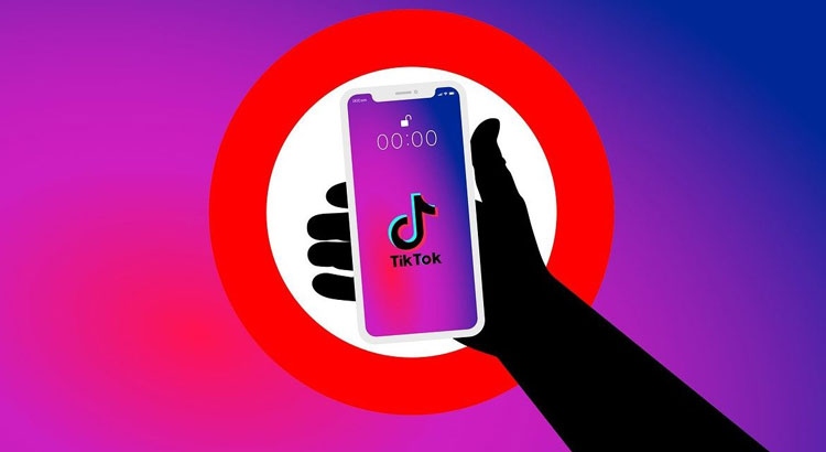Nhiều người cho rằng với việc cấm TikTok và WeChat tại Mỹ, ông Trump đang gây tổn hại nghiêm trọng đến một hệ sinh thái trực tuyến