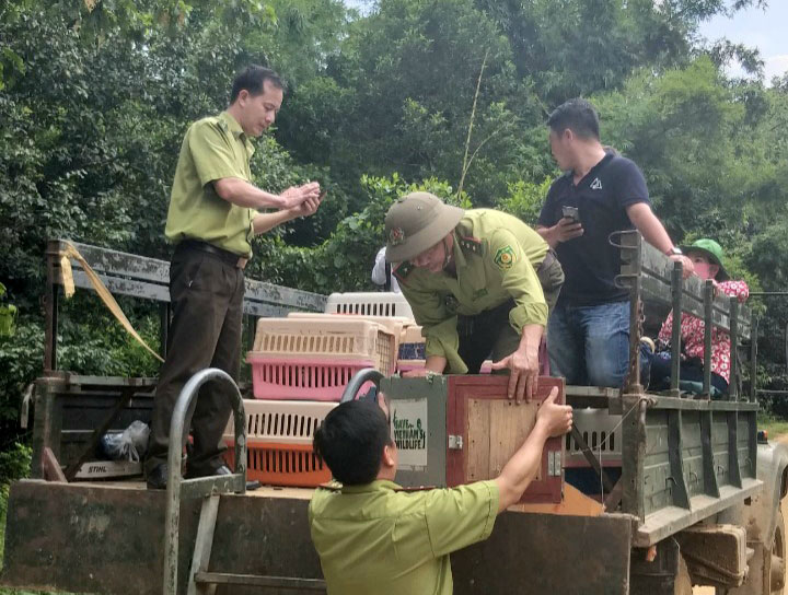 Thả 79 cá thể động vật quý hiếm về Vườn Quốc gia Cát Tiên