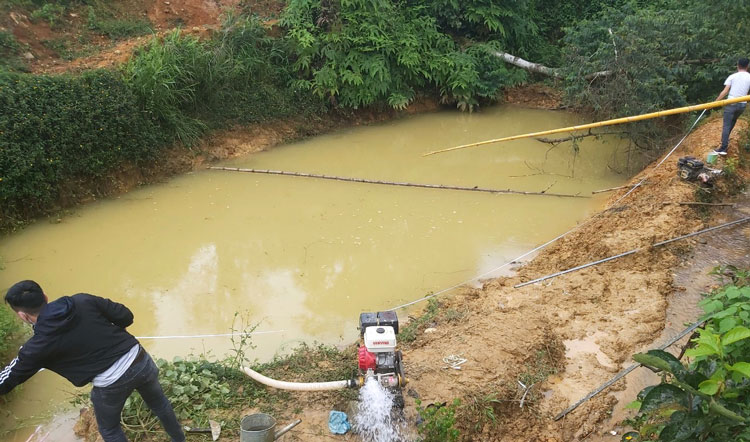 Rơi xuống hồ tưới cà phê, 3 cháu bé chết đuối