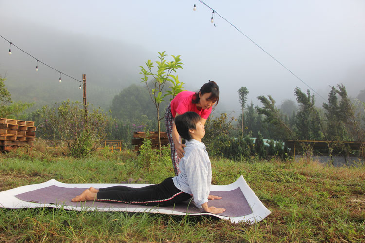 Cùng nhau học yoga giữa thiên nhiên