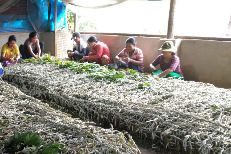 Điểm sáng trên các làng buôn