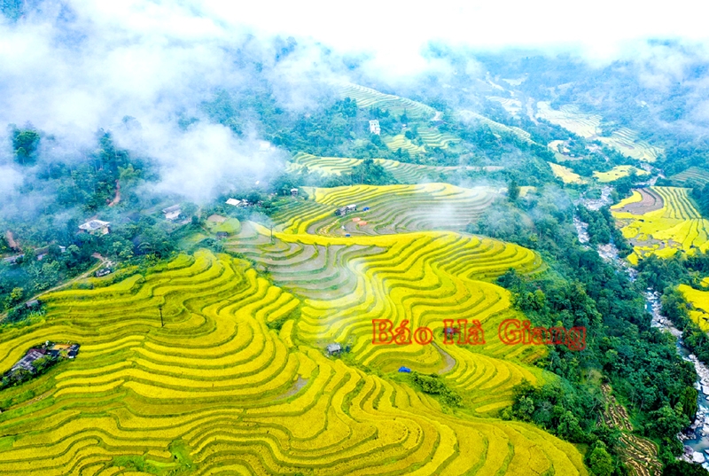 Trải nghiệm &quot;Bay trên mùa vàng&quot; Hoàng Su Phì