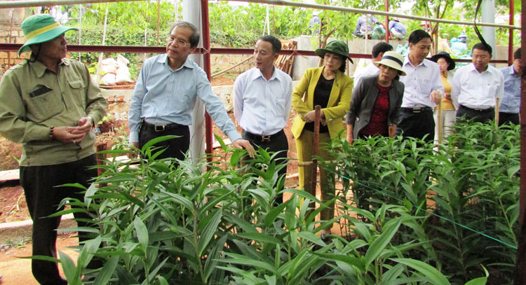 Để phát triển hơn nữa nông nghiệp công nghệ cao