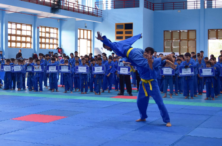 265 vận động viên tham gia giải Vovinam - Việt Võ Đạo huyện Đức Trọng mở rộng năm 2020