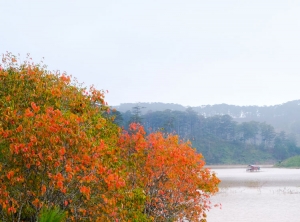 Nhớ mùa thu Đà Lạt