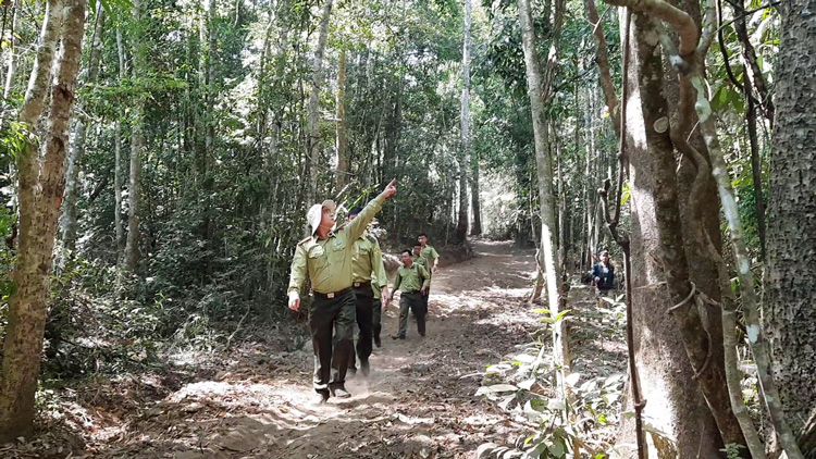 Lực lượng kiểm lâm Đà Lạt kiểm tra rừng