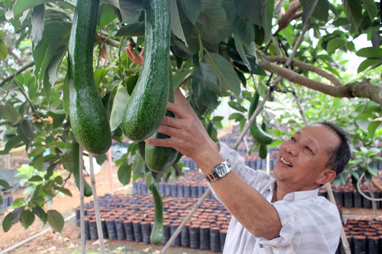 Huy động tổng lực giảm nghèo bền vững