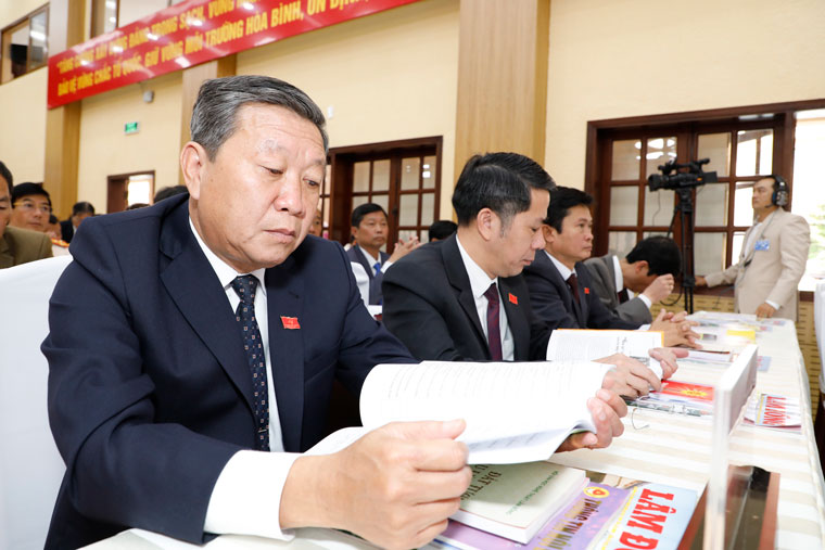 Các đại biểu tham dự Đại hội