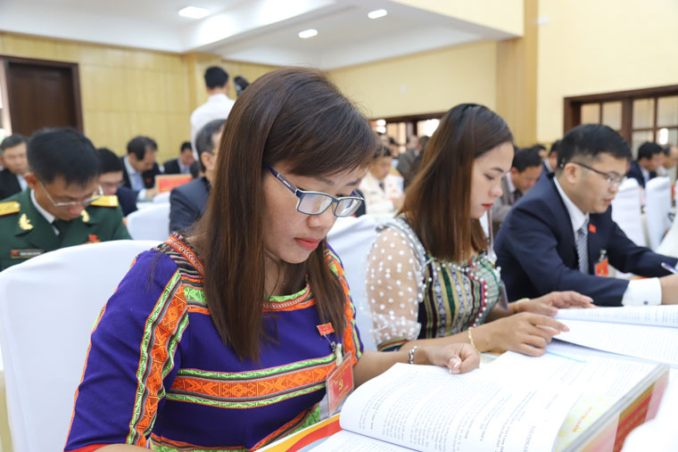 Các đại biểu tham dự Đại hội