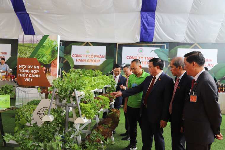Lãnh đạo Trung ương và tỉnh Lâm Đồng tham quan các gian hàng triển lãm tại Đại hội
