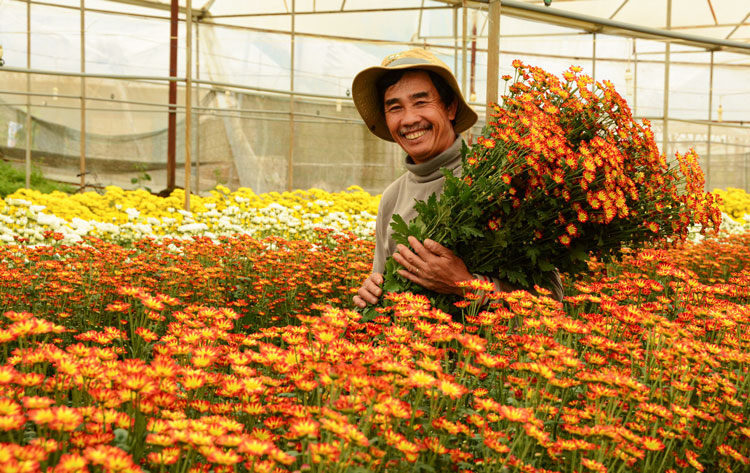 Lâm Đồng dẫn đầu trong cả nước về mô hình sản xuất ứng dụng công nghệ cao. Ảnh: Văn Báu